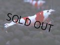 446　H【4＋1】雅えびのチビッコレッドビー！【FINAL】