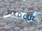 377　H【4＋1】ミポリンフラッシュ80連発！【FINAL】