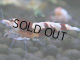 021　H【決算スペシャル】超特価！いきなりサヤチャンス100連発！