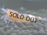 092　H【決算スペシャル】超特価！いきなりサヤチャンス100連発！