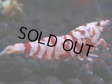 046　H【決算スペシャル】超特価！いきなりサヤチャンス100連発！