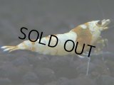 100　H【決算スペシャル】超特価！いきなりサヤチャンス100連発！