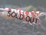 050　H【決算スペシャル】超特価！いきなりサヤチャンス100連発！