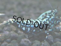 002　H【決算スペシャル】超特価！いきなりサヤチャンス100連発！