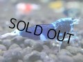 042　H【決算スペシャル】超特価！いきなりサヤチャンス100連発！