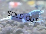 042　H【決算スペシャル】超特価！いきなりサヤチャンス100連発！