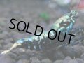 040　H【決算スペシャル】超特価！いきなりサヤチャンス100連発！