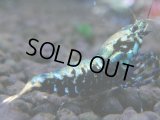 040　H【決算スペシャル】超特価！いきなりサヤチャンス100連発！