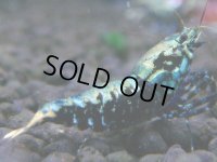 040　H【決算スペシャル】超特価！いきなりサヤチャンス100連発！