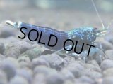079　H【決算スペシャル】超特価！いきなりサヤチャンス100連発！