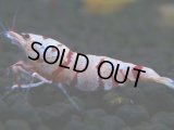 004　H【決算スペシャル】超特価！いきなりサヤチャンス100連発！