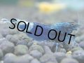 094　H【決算スペシャル】超特価！いきなりサヤチャンス100連発！