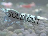 060　H【決算スペシャル】超特価！いきなりサヤチャンス100連発！