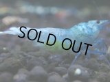043　H【決算スペシャル】超特価！いきなりサヤチャンス100連発！