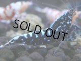 045　H【決算スペシャル】超特価！いきなりサヤチャンス100連発！