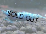 032　H【決算スペシャル】超特価！いきなりサヤチャンス100連発！