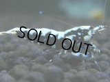 086　H【決算スペシャル】超特価！いきなりサヤチャンス100連発！