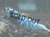 005　H【決算スペシャル】超特価！いきなりサヤチャンス100連発！