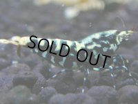 030　H【決算スペシャル】超特価！いきなりサヤチャンス100連発！