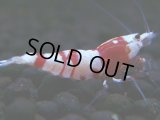 093　H【決算スペシャル】超特価！いきなりサヤチャンス100連発！