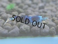 224　R【決算スペシャル】新種系色々MIX時々チョイパ100連発！！