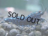 260　H【20期目突入記念！】スーパーサヤチャンス100連発！