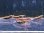 画像2: 039　P【スプリットタイムセール！】DEEP RED GALAXY アダルトオール♀！ 画像プラケ内丸ごとセット (2)