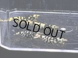 030　K【スプリットタイムセール！】BLACK BATICLE 全部メス プラケース内丸ごとセット ※本日輸入作業につき出品終了となります