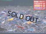 金眼タイガーMIX （送料込み）