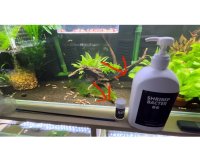 X限定企画（数量限定）SHRIMP BACTER 86 1000ml（専用ディスペンサーセット）+ABS ※送料無料