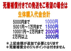 画像1: 死着補償ありでの発送をご希望の方へ