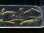 画像2: 9043 C【スプリットタイムセール】ファイナルナイトバーゲン!かわいい色薄フィッシュボーン 超特価!プラケース内丸ごとセット  (2)
