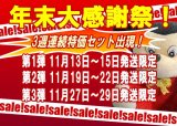 11月13日（木）〜15日（土）発送限定のセール品（数量限定）＊到着希望日ナシは期間中の最短発送となります