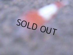 画像1: 238　R 【KOREA MAX！】コスパMAXミポリンフラッシュ！【SECOND】