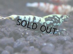 画像1: 197　R 【KOREA MAX！】新種系色々MIXお宝コスパ100連発！【SECOND】