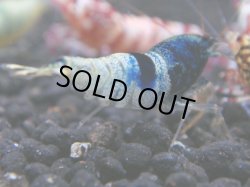 画像1: 135　R 【年末スペシャル！】新種系色々MIXフルボディMIX100連発！