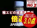 【3.0点】倍速ダブルスピード 