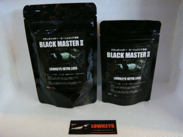 画像1: BLACK MASTERII 50g【L05】 (1)