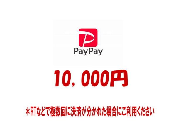 画像1: 【10000円】RT支払いpaypay専用 (1)