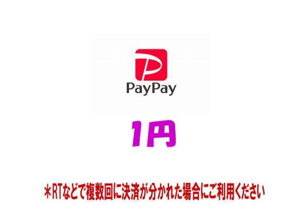 画像1: 【1円】RT支払いpaypay専用 (1)