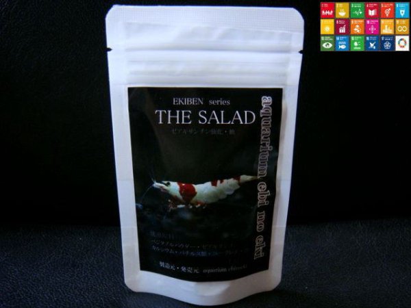 画像1: THE SALAD 40g （ 送料120円・同梱不可・銀行振込み・PayPay限定） (1)