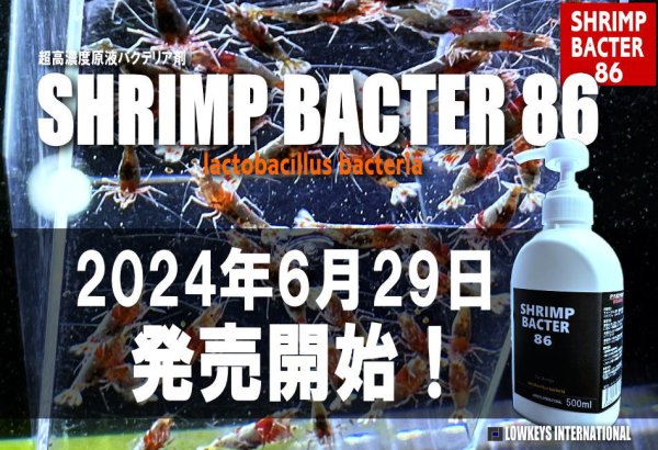 画像2: （30%OFFサービス中） SHRIMP BACTER 86（専用ディスペンサーセット）※送料込みセットと同梱可能 (2)