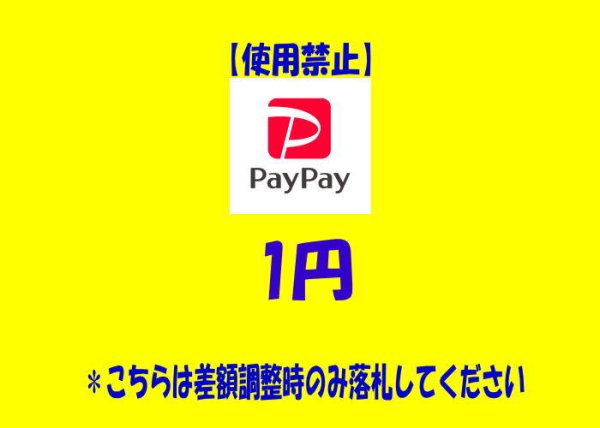 画像1: 【10円】計算間違いによる差額調整時のみ (1)