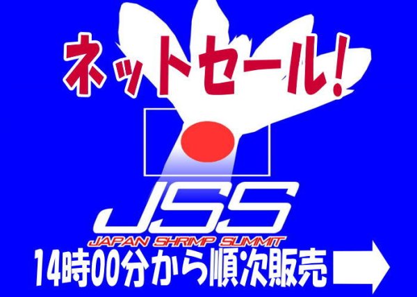 画像1: 【JSSネットセール!】 (1)