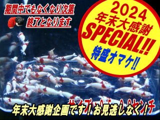 ローキーズの送料込みのインターネット通販（北海道・沖縄別途） - ローキーズ