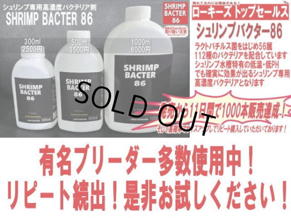 画像1: 決算スペシャル！SHRIMP BACTER 86 ＊クーポン割引対象商品 (1)
