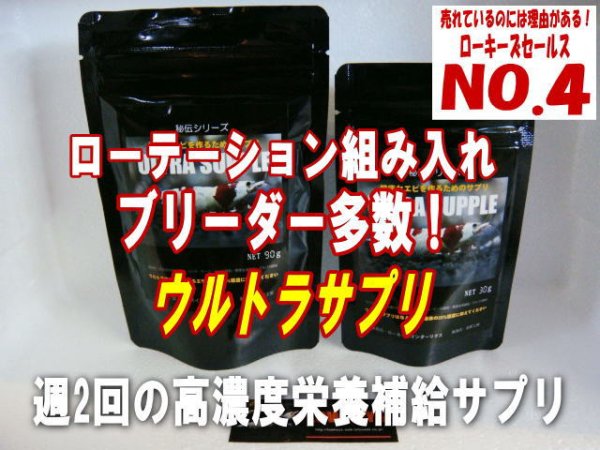 画像1: ULTRA SUPPLE 30g ＊週2回までの高濃度サプリ (1)