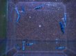 画像2: 1009　A【決算スペシャル！】チビッコマテリアルブルー 画像プラケ内丸ごとセット (2)