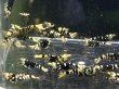 画像3: 016　A【スプリットタイムセール！】小さ目きれい目ミドルハイ BFT 画像プラケ内丸ごとセット (3)