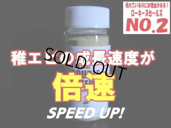 画像1: 310　P【秋の大量入荷祭！】倍速 (1)